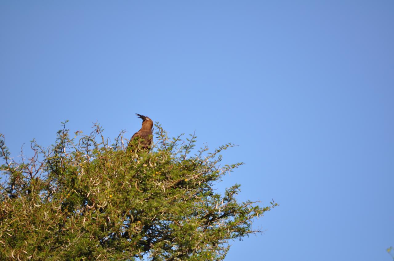 Hopewell Private Game Reserve Buyskloof Extérieur photo